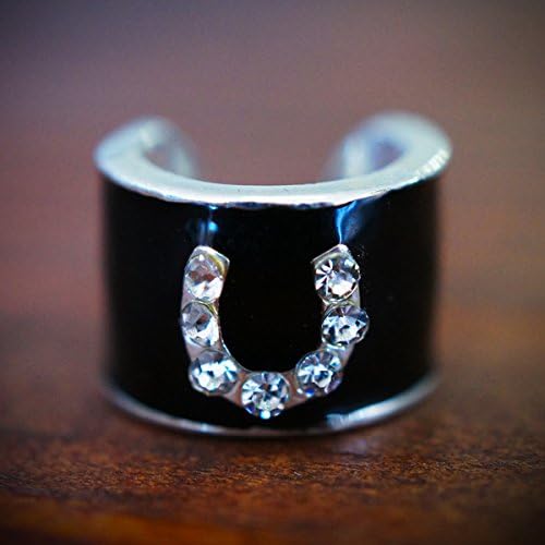Stethoscope charms (Horseshoe)