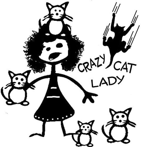 crazy cat lady figure amazon