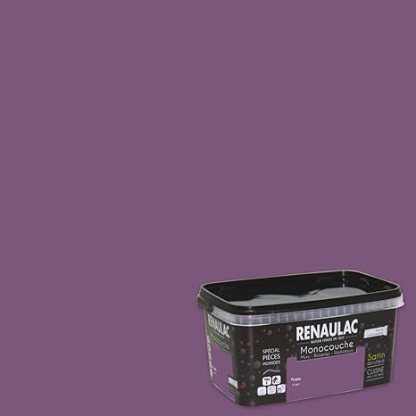Renaulac Peinture Monocouche Cuisine Salles De Bain Speciale Pieces Humides Violet Satin 2 5l 25m Amazon Fr Bricolage