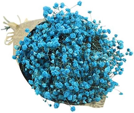 CMrtew Natural Dried Flower, Natural Dried Flower Baby's Breath Gypsophila Home Office Bouquet Decor (Blue2)