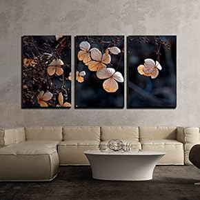 3 Piece Canvas Wall Art - Close Up of Brown Dry Petals of Flowers - Modern Home Art Stretched and Framed Ready to Hang - 16"x24"x3 Panels