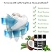 Teeth Whitening Charcoal Powder, 2 Pack, Natural Organic Coconut Activated Charcoal Natural and Peppermint Flavour Set of 2, 45g per Pack