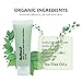 Benatu Green Clay Mask - 100% Natural & Organic Dead Sea Mud + Silicone Brush for Face [ACNE] 75g