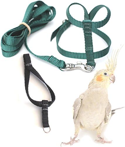 Fred Bird Harness &amp; Leash with additional larger TRAINING Head Loop
