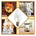 10 Packs 15 Watt Light Bulbs Compatible with Scentsy - C7 Replacement Salt Lamp Bulb for Plug in Night Wax Warmer Diffuser 15W 120 Volt, E12 Candelabra Base