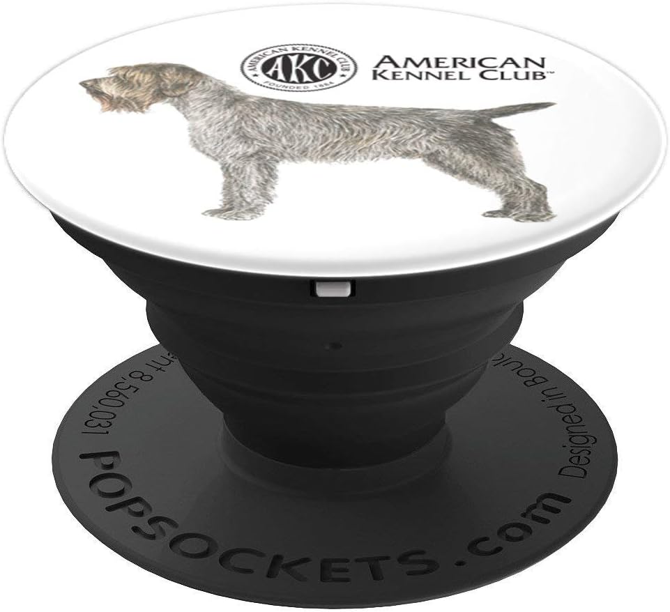 akc wirehaired pointing griffon