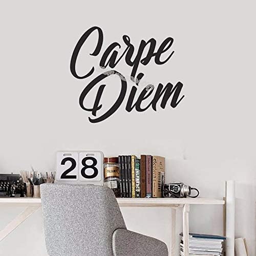 jiushivr Quotes Latin language Wall Decal Inspirational Vinyl Lettering Motivational living room Wall Stickers mural 67x56cm
