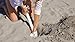 dig-git Best Beach Umbrella Sand Anchor