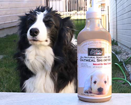 Alpha Dog Series All Natural Anti Itch Oatmeal Shampoo + Conditioner for Dogs | Hypoallergenic Soothing Relief for Dry, Itchy, Bitten or Allergy Damaged Skin (Pack of 2) - Thumbnail 3