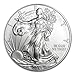 2014 U.S. Silver Eagle in Perfect Fit Air-Tite