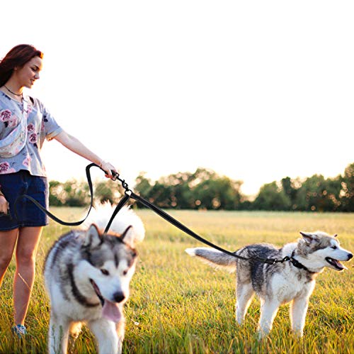 Tacobear Double Dog Leash for Two Dogs No Tangle Coupler Double Dog Dual Adjustable Splitter Lead Trainer Leash for Small Medium Large Dogs (with Handle,for 2 Small (0-50lbs) Dogs) - Thumbnail 5