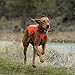 Ruffwear, Track Jacket High Visibility Reflective Safety Jacket for Dogs, Blaze Orange, XX-Small/X-Small