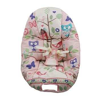 fisher price cosy cocoon bouncer