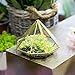 Handmade Gold Open Glass Geometric Terrarium Brass Diamond Succulent Fern Moss Plant Display Container Balcony Small Planter Indoor Centerpiece for Coffee Tabletop Decoration (NO Plants)