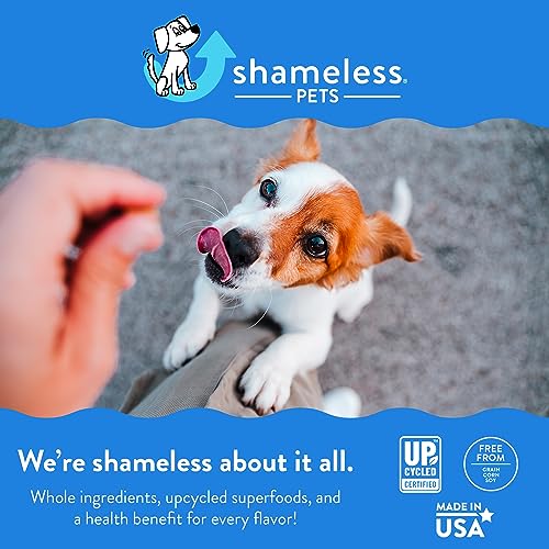 SHAMELESS PETS SOFT-BAKED DOG TREATS, LOBSTER ROLLOVER – NATURAL & HEALTHY DOG CHEWS FOR HIP & JOINT SUPPORT WITH GLUCOSAMINE – DOG BISCUITS BAKED & MADE IN USA, FREE FROM GRAIN, CORN & SOY – 1-PACK