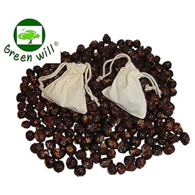 3 Pounds Greenwill Organic Soap Berries/Soap Nuts + 2 Wash Bags