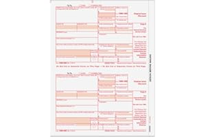 EGPCHECKS EGP IRS Approved 1099-OID Federal Copy A Tax Form, 100 Recipients