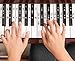 Piano Stickers for all Keys - Durable Double Layer Coated / Removable 49 / 61 / 76 / 88 Keyboards and Pianos - White and Black Keys / Adults or Kids - Bonus Printable Beginners Music eBook
