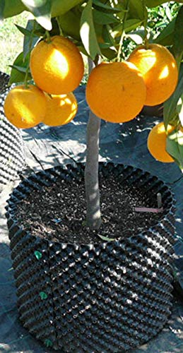 (6) Superoots Air-Pot 1 Gal Equivalent Garden Propagation Pot Planter Containers - Thumbnail 5