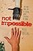 Not Impossible: The Art and Joy of Doing What Couldn't Be Done