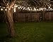 Outdoor String Lights 48 Ft, Commercial Grade Outdoor Light Strand with Hanging Sockets - Weatherproof Strand for Patio Garden Porch Backyard Party Deck Yard, 15 light bulbs included – Black
