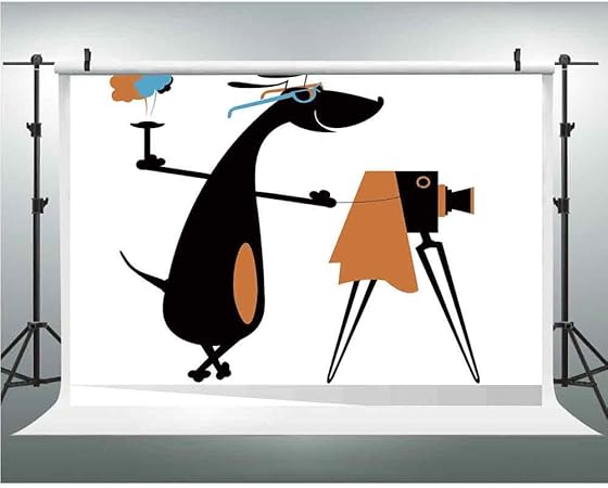 Amazon 写真スタジオ背景 面白い 写真撮影背景 3 28x5フィート 猫と犬 家庭のペット 友人 かわいくて面白い表現 スカイクラウドコラージュ バックペーパー 背景布 通販