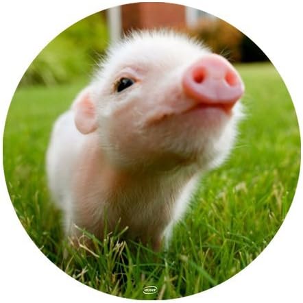 iFUOFF Animal Design Cute Baby Pig Mousepad Rubber Mouse Pad 220mm x 180mm