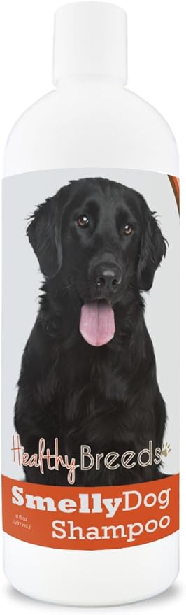 flat coated retriever hypoallergenic