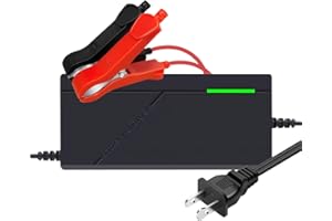 12V 3A Lithium Battery Charger 14.6V LiFePO4 Battery Charger, Battery Maintainer, Smart Charger with LED Indicator Cooling Fa