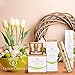 Moisturizing Serum by Queen Odelia | 1 oz. | Ultra Rich in Natural Minerals