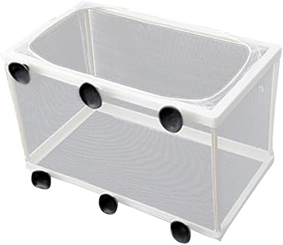 Amazon Miyinla 水槽内の自作隔離箱 魚隔離用 魚繁殖用タンク アクアリウム用品 魚孵化用ネット 稚魚の保護 育成用 仕切り板 最大4室の飼育空間 取り付け簡単 強力吸盤 超大空間 L Miyinla 繁殖用タンク 通販