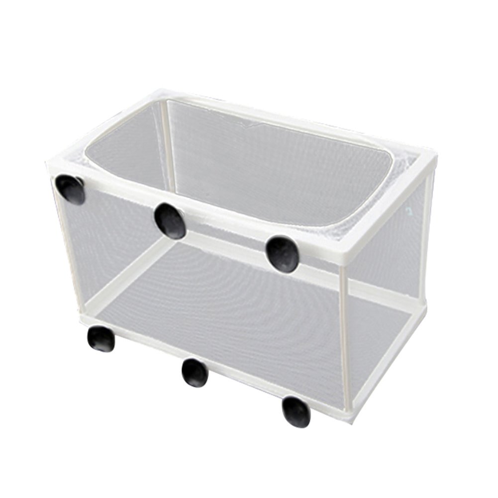 Buy wiFndTu Fish Incubator Mesh Box Aquarium Fish Tank Hatchery