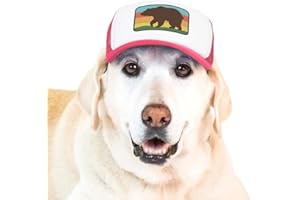 Nature Collection, PupLid Trucker Hats for Dogs (Large) Premium Stylish Sun Protection for The Modern Dog - Adjustable for Secure Comfortable Fit on Active Dogs (Pink, Bear)