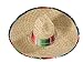 Rubie's Costume Co Sombrero with Rainbow Serape Edge And Band Costume
