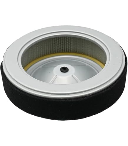 Amazon.com: MOWFILL 17210-Z6L-010 Air Filter Combo Replace for