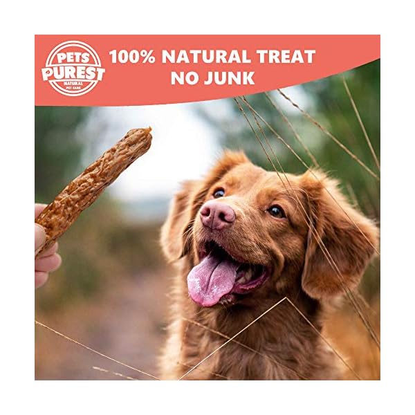 Pets-Purest-100-Natural-Dog-Chews-Air-Dried-Sausage-Treats-for-Dogs-Just-Two-Ingredients-Pork-Beef-Grain-Gluten-Lactose-Free-Delicious-Healthy-Raw-Dog-Treat-for-Dog-Puppy-Adult-Senior-200g Pets Purest Natural Dog Treat Chews - 100% Healthy Air-Dried Pork & Beef Sausage Meat Treats for Dogs, Puppy & Senior…