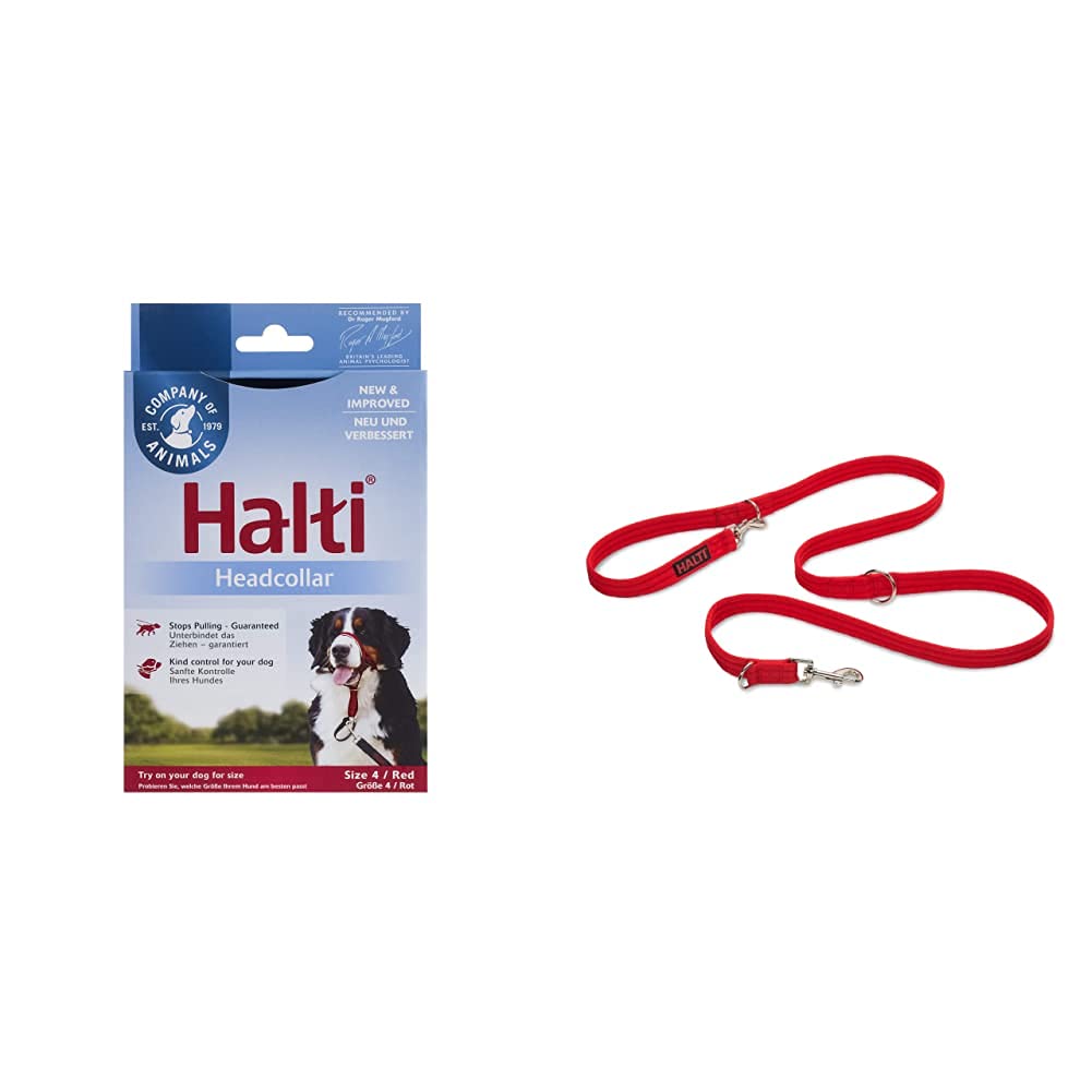 Company of Animals: Halti Headcollar & Double Ended Training Lead Pack suitable for Small, Medium and Large dogs