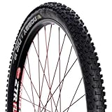 Schwalbe Nobby Nic SnakeSkin PaceStar MTB Tire