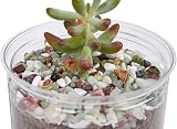 Hisredsun 2.1 lb Decorative Stones 6-9mm Mixed Jade Pebbles view 6