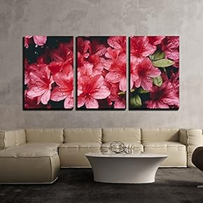 3 Piece Canvas Wall Art - Red Flower Petal - Modern Home Art Stretched and Framed Ready to Hang - 16"x24"x3 Panels