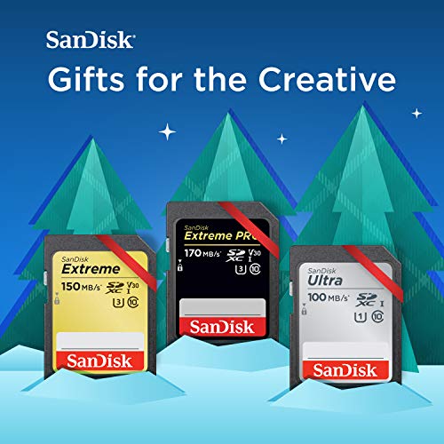 5 SanDisk+Ultra+UHS+I+Memory+SDSDUN4+032G+GN6IN