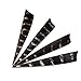 I-Sport 36pcs 4inch Wildfires Turkey Feather Fletching Archery Hunting Arrows Right Wing Feathers …