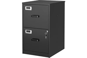 BYNSOE 2 Drawer File Cabinet with Lock Vertical Filing Storage Cabinet Office Home Steel Vertical File Cabinets for Letter Size File Cabinet Locked,Assembly Required