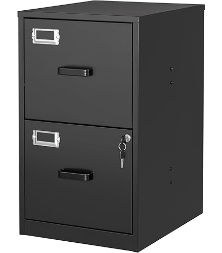 Amazon.com: Bisley 2-Drawer Flush Front Vertical File Cabinet