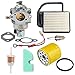 Hilom 20 853 33-S Carburetor Overhaul Kit for Kohler Courage SV Series SV470 SV530 SV540 SV541 SV590 SV600 SV591 SV601 SV610 SV620 15HP 17HP 18HP 19HP Engine # 12 853 117-S Toro MTD Cub Cadet primary