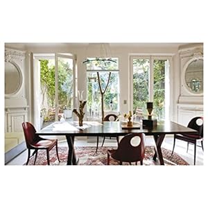 A Home in Paris: Interiors, Inspiration (Flammarion a Home)