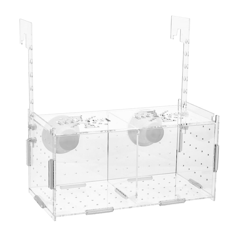 SUPERFINDINGS Aquarium Breeding Isolation Box Acrylic Fish Breeding Box Transparent Fish Tank Acclimation Hatchery Incubator with Suction Cups for Guppy Shrimp Clownfish Fishes 10x10x20cm