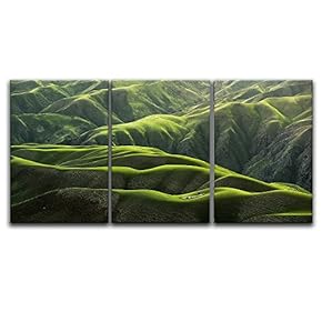 3 Panel Majestic Landscape of Green Grass Covered...