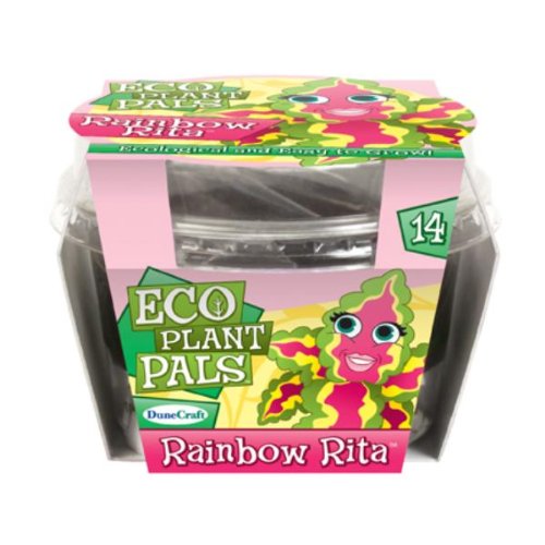 Victory Climate Systems 06200657 Evaporator/Heater Case Rear