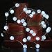 Impress Life Christmas Wedding String Lights, 10ft 40 Cold White Orbs Ball Led Fairy Lighting, Silver Wire Battery Operated with Remote for House, Bedroom, Patio Decoration, Mirror Bedroom Wreath